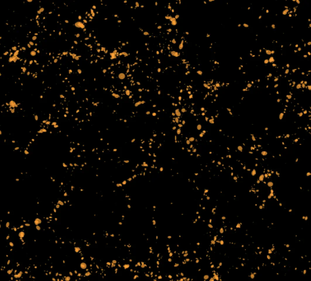 Galaxy clustering visualization